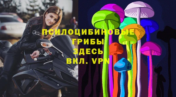шишки Алексин