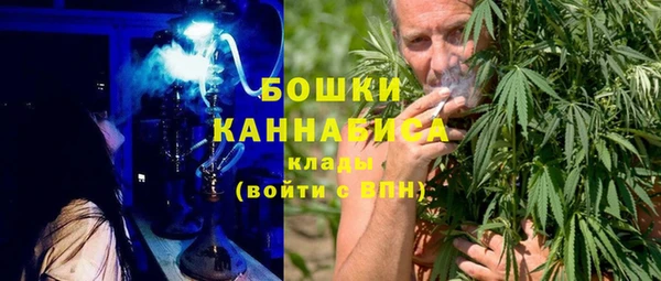 шишки Алексин