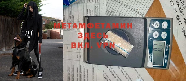 шишки Алексин