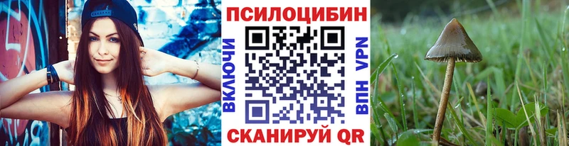 Псилоцибиновые грибы прущие грибы  Плавск 